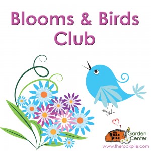 Birds  Blooms on Blooms And Birds