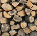 Firewood