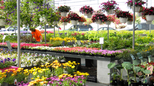 2010_05_18_GardenCenter1 600