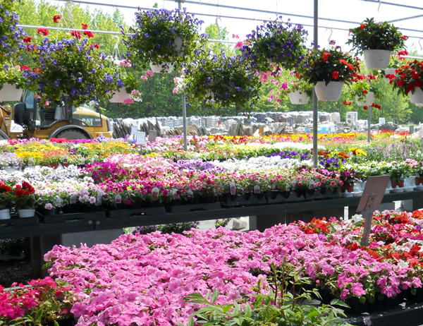 2010_05_26_gardencenter_crop