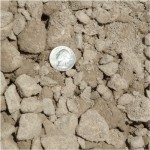 #411 Limestone