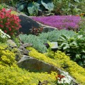 ROCK GARDENS