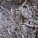 Very finely shredded hardwood bark, consistent size and easy to apply. Dyed Brown.