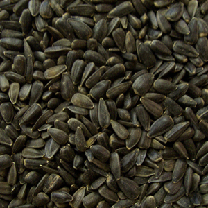 Bird Feed of the Month: May