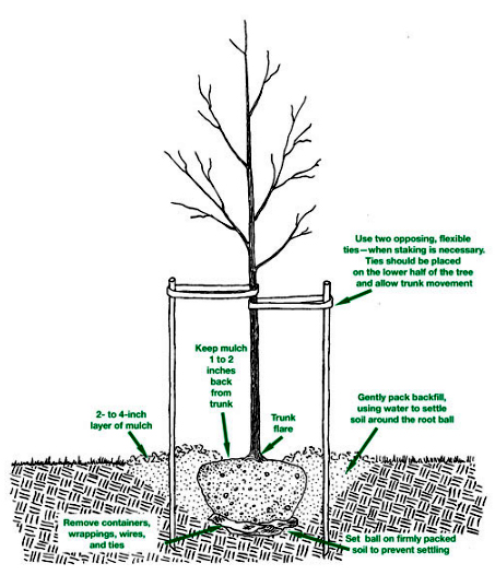 500g Fermented Pine Bark Natural Bark DIY All Kinds of Plants Pot Planting  Root Nourishing Moisture Breathable Nutrient Soil - AliExpress