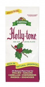 im_T_HollyTone