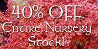 40% OFF Nursery Stock! 3 days only!