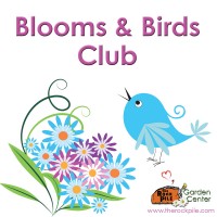 Blooms and Birds