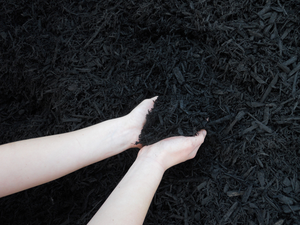 What is black mulch dyed with?