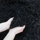 Timber Ridge Enviro Black