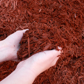 Timber Ridge Enviro Red