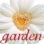 garden2