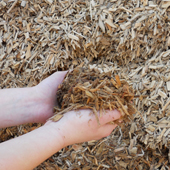 Playground Mulch