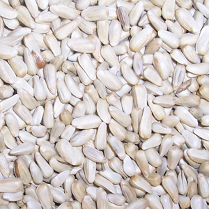Bird Feed of the Month: May
