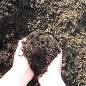 Triple Shred Mulch