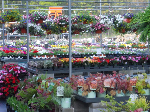 The Rock Pile Garden Center