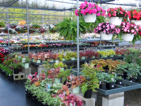The Rock Pile Garden Center