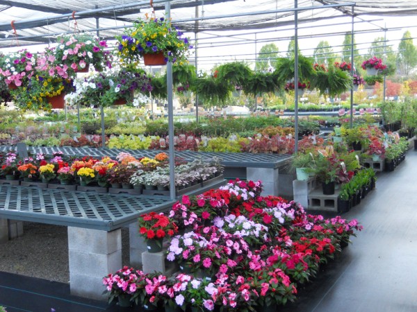 The Rock PIle Garden Center