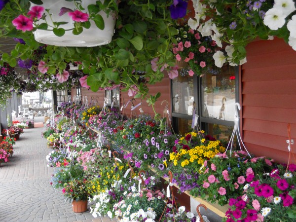 The Rock Pile front porch hanging baskets