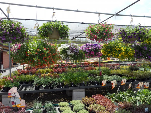 The Rock Pile Garden Center