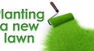 Planting a new lawn: the plan