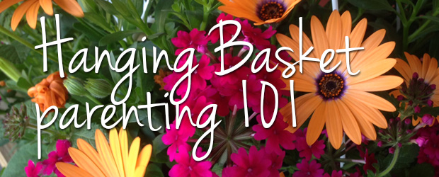 Hanging Basket parenting 101